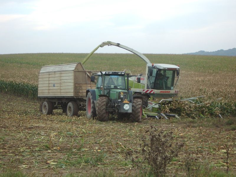 Claas jaguar 900 mit Fendt 514.jpg